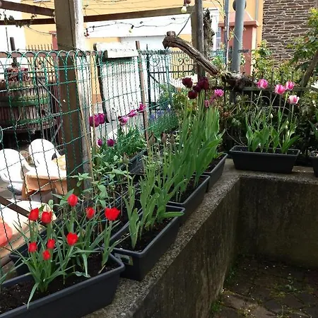 - Garni - Wolfshof מלון