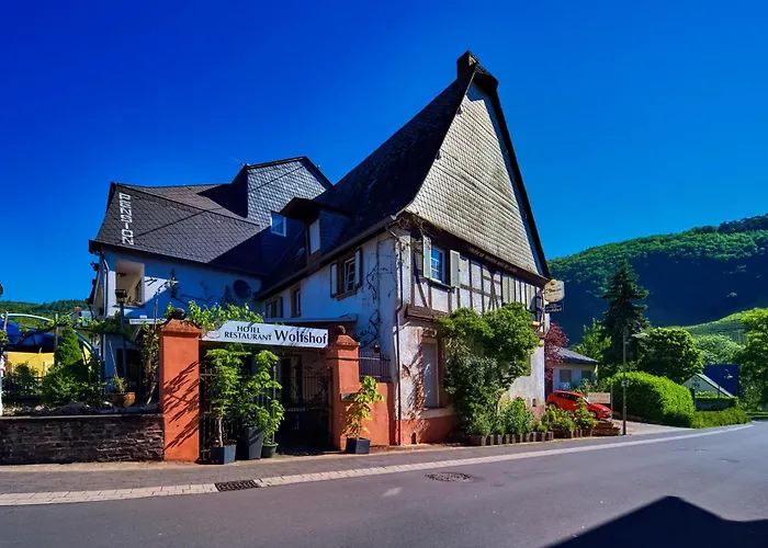 - Garni - Wolfshof Трабен-Трарбах