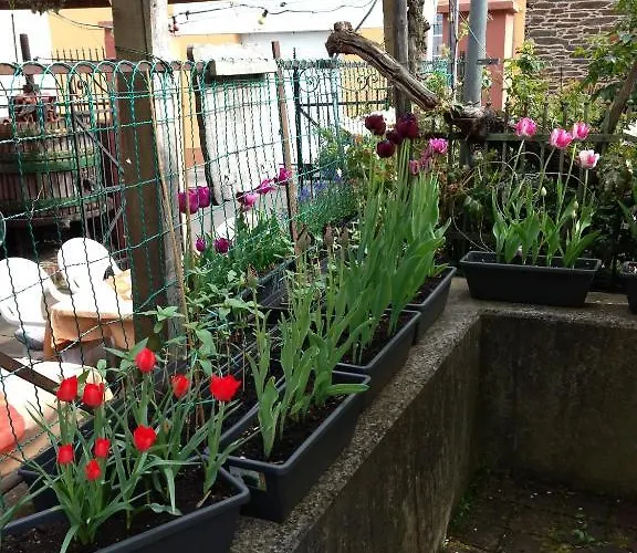 - Garni - Wolfshof Отель