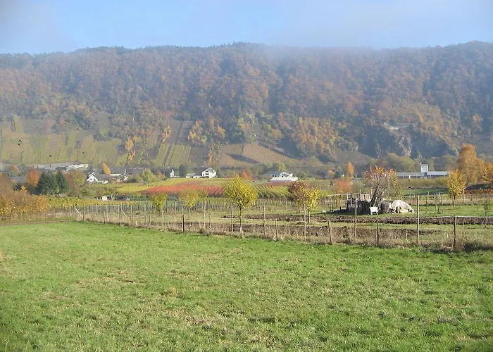 - Garni - Wolfshof Отель